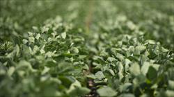 MAURICIO MACRI ANUNCIÓ UNA BAJA EN LAS RETENCIONES AL SECTOR AGROPECUARIO MAURICIO MACRI ANUNCIÓ UNA BAJA EN LAS RETENCIONES AL SECTOR AGROPECUARIO