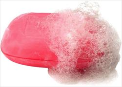 SE ENJABONARON, PASARON ENTRE LOS BARROTES Y SE FUGARON