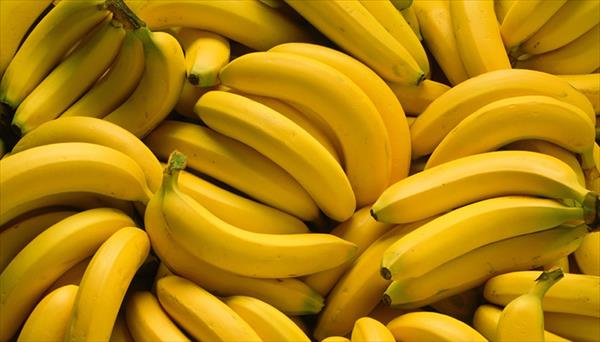 Los conflictos de Chile y Bolivia, las causas de los aumentos en el precio de la banana en Argentina Los conflictos de Chile y Bolivia, las causas de los aumentos en el precio de la banana en Argentina
