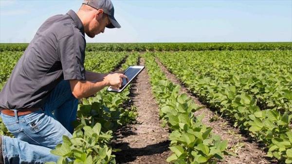 Son argentinos y crearon el "Tinder" del agro: utiliza inteligencia artificial para unir las empresas y comercios Son argentinos y crearon el "Tinder" del agro: utiliza inteligencia artificial para unir las empresas y comercios