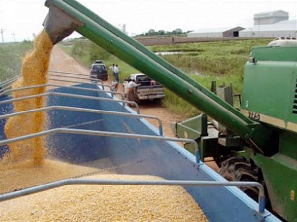 Exportaciones: cayeron más del 21% en octubre Exportaciones: cayeron más del 21% en octubre