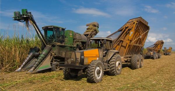 Sesenta productores cañeros decidieron apostar al cooperativismo Sesenta productores cañeros decidieron apostar al cooperativismo