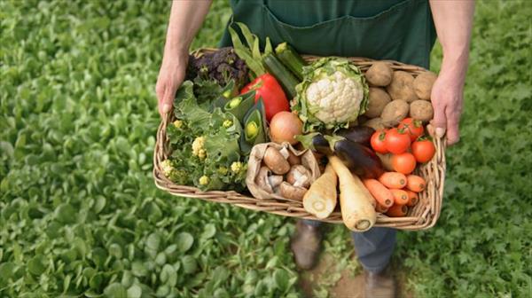 Promueven la producción sustentable en Tucumán Promueven la producción sustentable en Tucumán