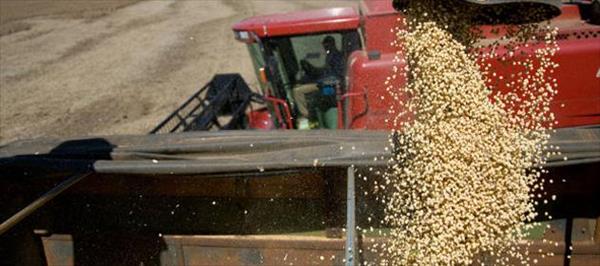 LA COSECHA DE SOJA DE BRASIL AVANZA RÁPIDAMENTE LA COSECHA DE SOJA DE BRASIL AVANZA RÁPIDAMENTE
