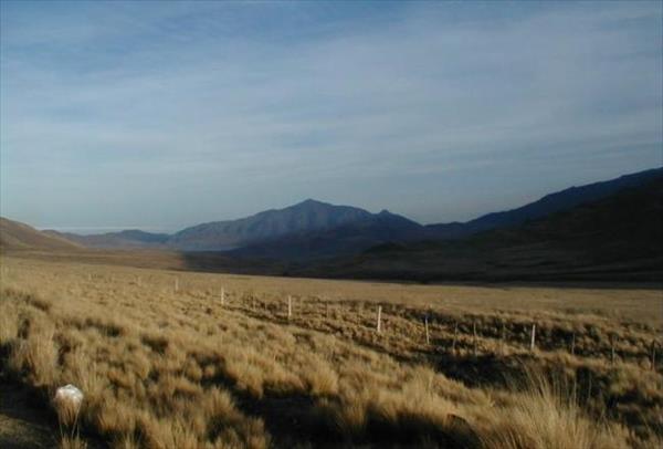 Promueven la conciencia ambiental para cuidar pastizales de altura tucumanos Promueven la conciencia ambiental para cuidar pastizales de altura tucumanos