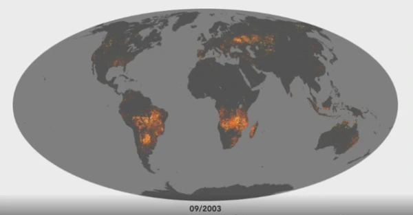 La NASA muestra cómo se ve desde el espacio el arrasador incendio de la Amazonia La NASA muestra cómo se ve desde el espacio el arrasador incendio de la Amazonia