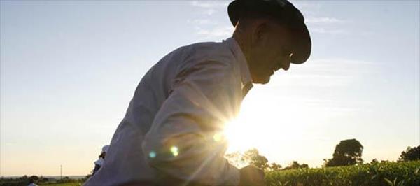 LA AGRICULTURA FAMILIAR REPRESENTA A MÁS DE 800 MIL PRODUCTORES EN LA ARGENTINA LA AGRICULTURA FAMILIAR REPRESENTA A MÁS DE 800 MIL PRODUCTORES EN LA ARGENTINA