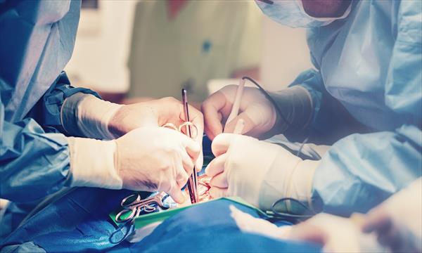 La OMS reclama medidas urgentes para reducir el daño al paciente en la asistencia sanitaria La OMS reclama medidas urgentes para reducir el daño al paciente en la asistencia sanitaria
