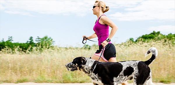 TIPS PARA EJERCITARTE JUNTO A TU PERRO TIPS PARA EJERCITARTE JUNTO A TU PERRO