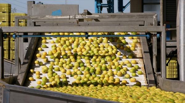 TUCUMÁN ES LA PROVINCIA LÍDER EN EL NOA EN LOS ÁMBITOS PRODUCTIVO Y COMERCIAL (EXPORTA 140 PRODUCTOS A 150 PAÍSES) TUCUMÁN ES LA PROVINCIA LÍDER EN EL NOA EN LOS ÁMBITOS PRODUCTIVO Y COMERCIAL (EXPORTA 140 PRODUCTOS A 150 PAÍSES)