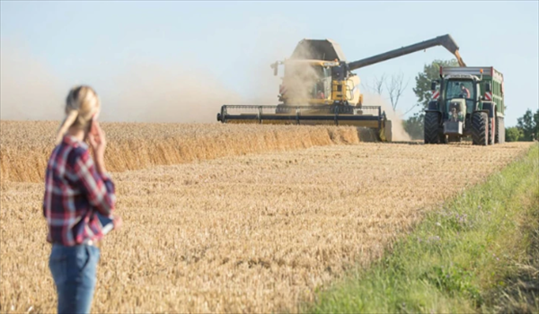 Sólo el 13% de los puestos profesionales del campo son ocupados por mujeres Sólo el 13% de los puestos profesionales del campo son ocupados por mujeres