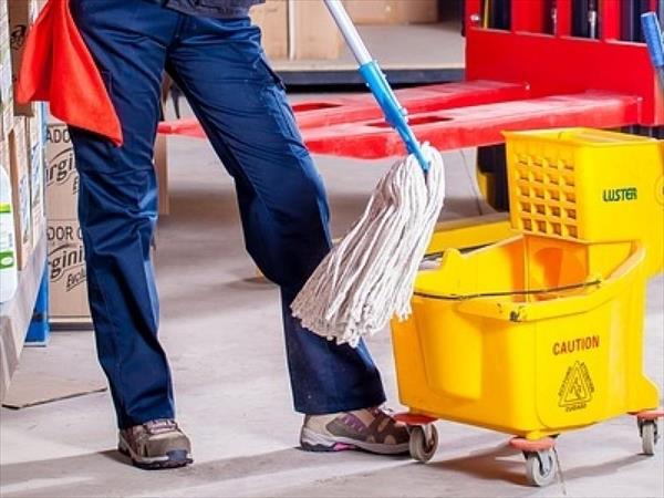Servicio doméstico con salario mínimo Servicio doméstico con salario mínimo