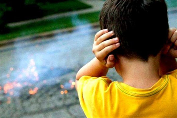 Por Unanimidad El Concejo Monterizo aprobó la ordenanza «PIROTECNIA 0» Por Unanimidad El Concejo Monterizo aprobó la ordenanza «PIROTECNIA 0»