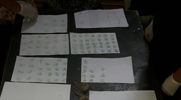 Intentaron ingresar droga a Villa Urquiza y una mujer fue detenida Intentaron ingresar droga a Villa Urquiza y una mujer fue detenida