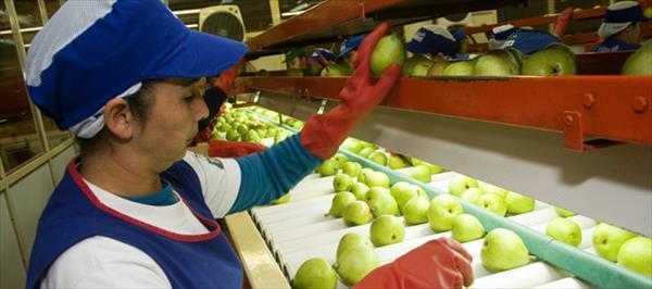 EE.UU. EVALUÓ LOS PLANES DE PREEMBARQUE PARA LA EXPORTACIÓN DE FRUTA DE ARGENTINA EE.UU. EVALUÓ LOS PLANES DE PREEMBARQUE PARA LA EXPORTACIÓN DE FRUTA DE ARGENTINA