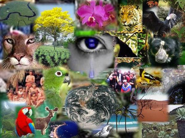 Latinoamérica, la región con menor biodiversidad Latinoamérica, la región con menor biodiversidad